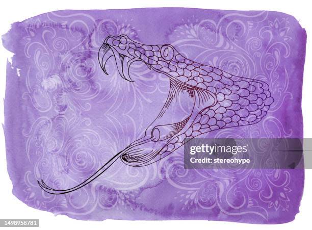 ilustrações de stock, clip art, desenhos animados e ícones de cobra on purple - territorial animal