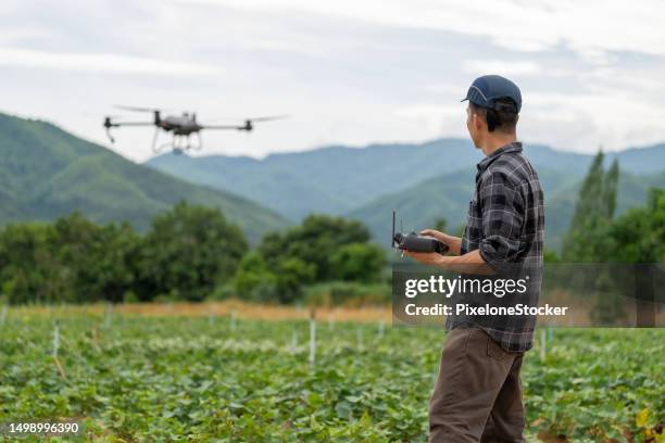 japanese man farm worker using agricultural drone fly to sprayed fertilizer on the sweet potato fields. - farmer drone stock pictures, royalty-free photos & images