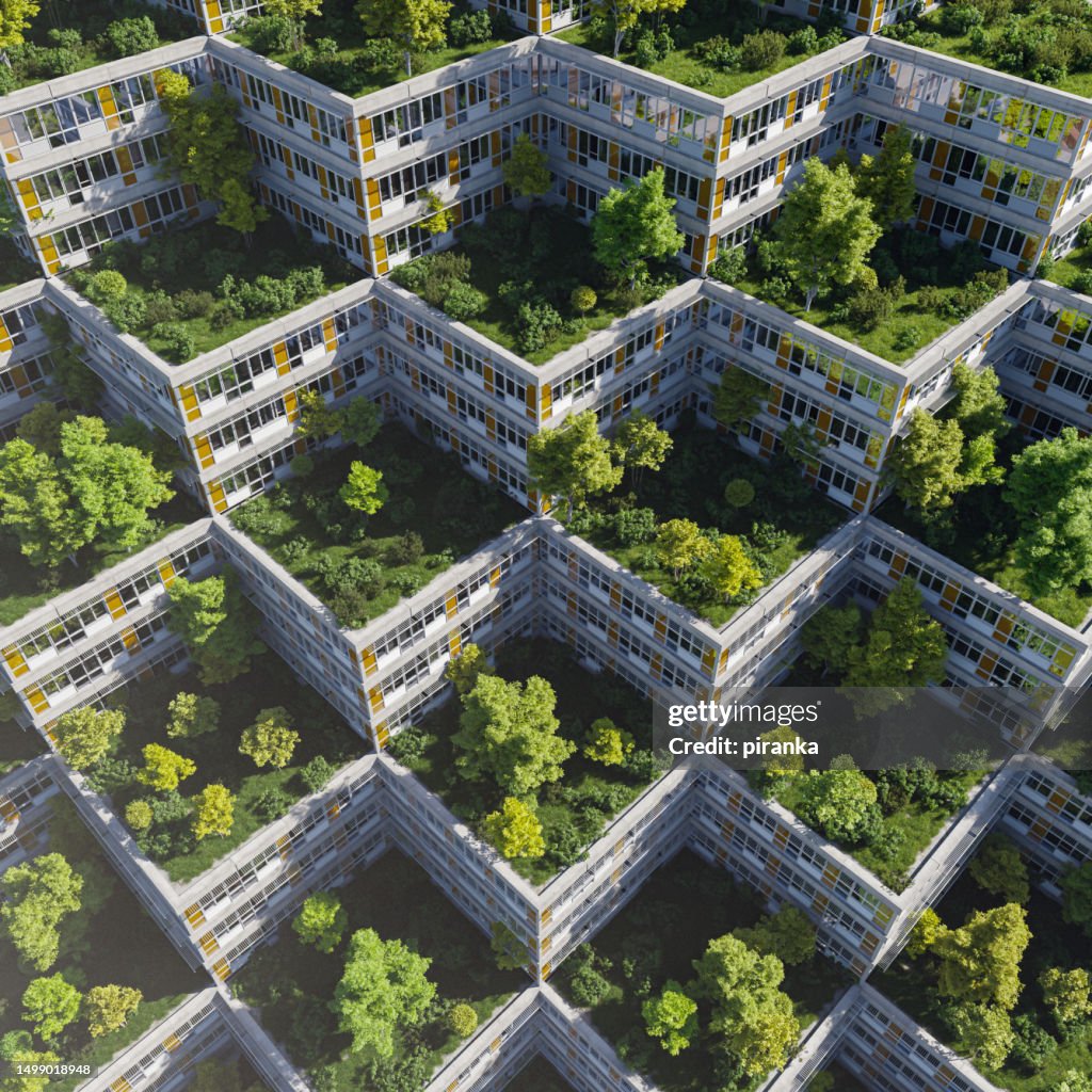 Green rooftops