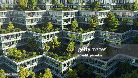 Roof garden Roof garden
