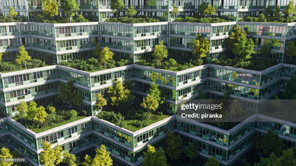 Roof garden
