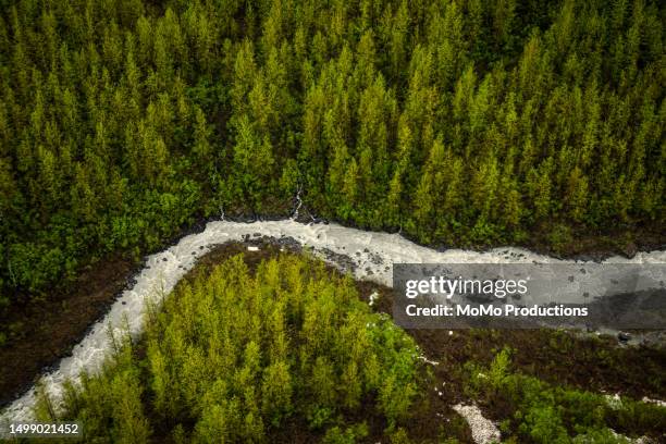 aerial photograph of alaskan river - alaska mountain range stock pictures, royalty-free photos & images