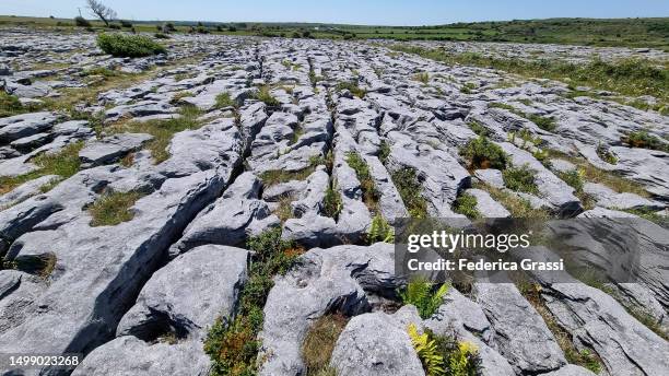 limestone plateau (karst or lapiaz) at poulnabrone - roccia carsica foto e immagini stock