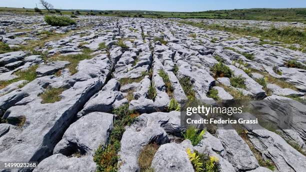 limestone plateau (karst or lapiaz) at poulnabrone - karst formation 個照片及圖片檔