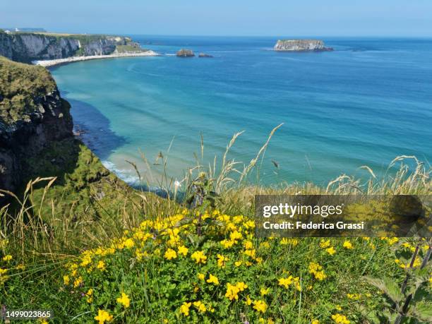 the antrim coast at carrick-a-rede - ballycastle stock pictures, royalty-free photos & images