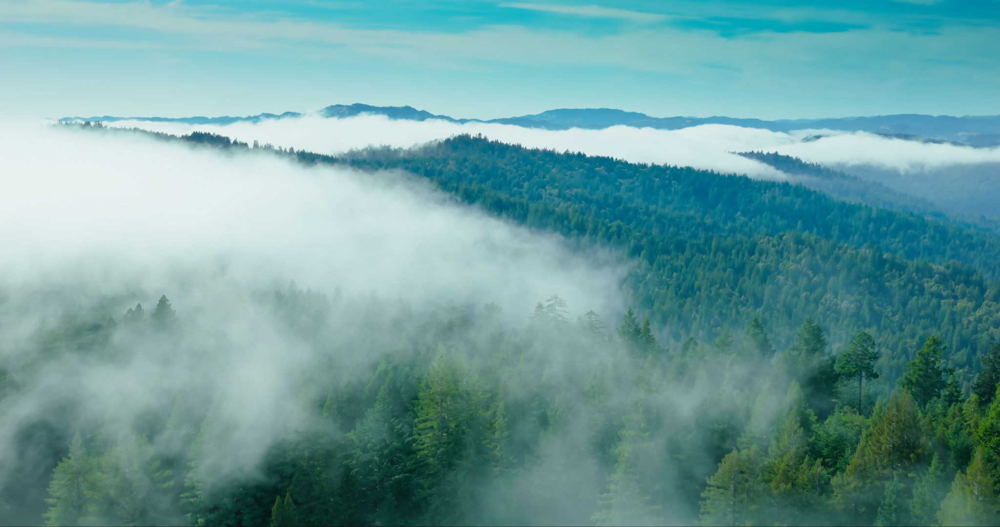 california landscape
