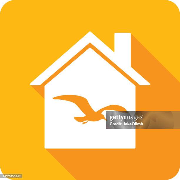 house seagull icon silhouette 2 - animals with webbed feet stock illustrations