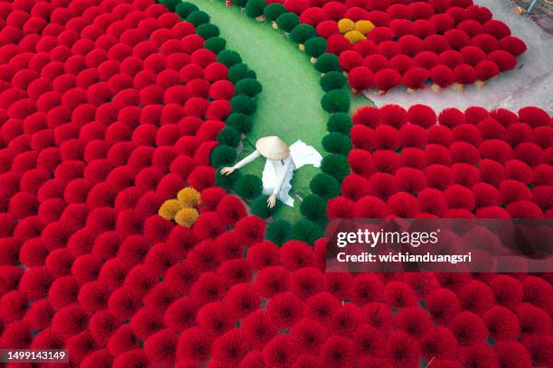 drying incense stick in vietnam - wierook gefabriceerd object stockfoto's en -beelden