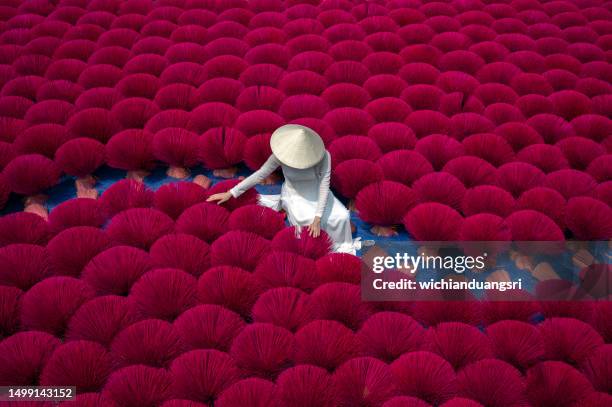 drying incense stick in vietnam - hanoi stock pictures, royalty-free photos & images