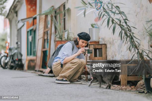 joven china asiática filmando gato en callejón trasero con teléfono inteligente - cat with red hat fotografías e imágenes de stock