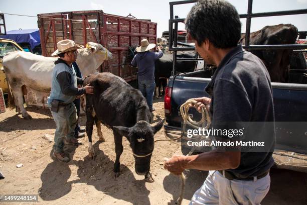 This Mexican Rancher Photos and Premium High Res Pictures - Getty Images