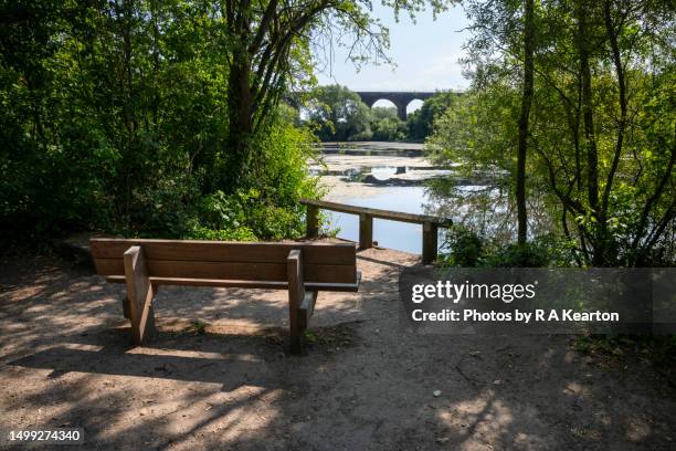 reddish vale country park, stockport, greater manchester, england - stockport stock-fotos und bilder