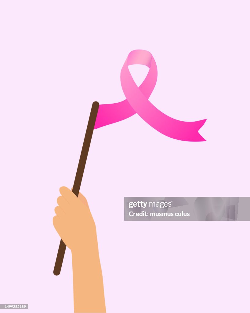 Breast Cancer Awareness Flag