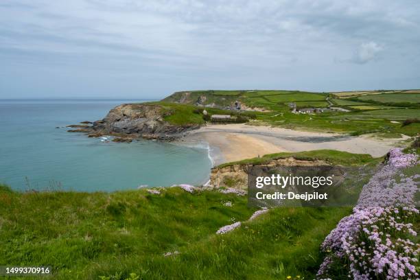 mullion church cove and beach, cornwall england - south west coast path stock pictures, royalty-free photos & images