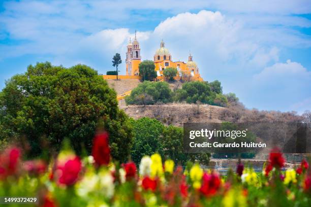 yarda de las flores - puebla mexico fotografías e imágenes de stock