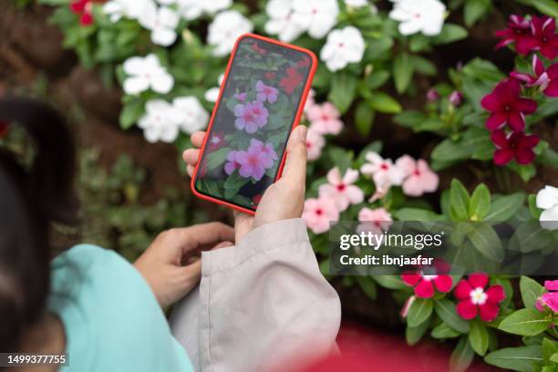 family enjoying nature and outdoor - ibnjaafar stock pictures, royalty-free photos & images