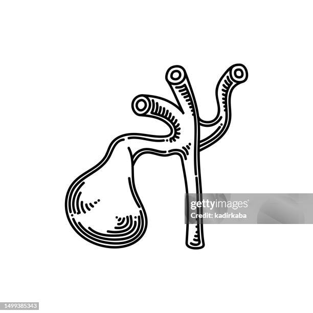 gallbladder and human organs line icon, sketch design, pixel perfect, editable stroke. logo, sign, symbol. - gall bladder stock illustrations