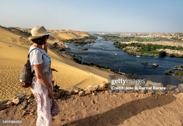 a woman contemplating the nile river near the aswan dam in egypt. - nubia stockfoto's en -beelden