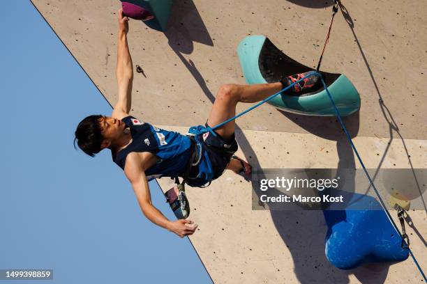 119 Omata Stock Photos, HighRes Pictures, and Images Getty Images