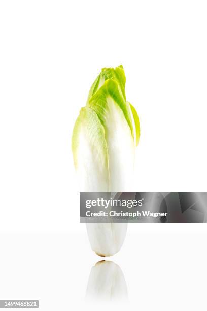 studio, freistellen, weißer hintergrund, salat - endive stock pictures, royalty-free photos & images