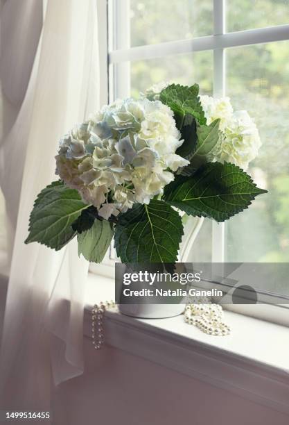 bouquet of hydrangeas on  window sill - hydrangea lifestyle stockfoto's en -beelden