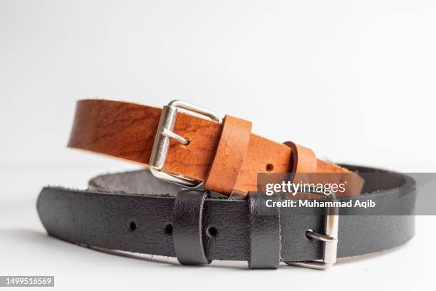 dog belt product photography - leather belt stock-fotos und bilder
