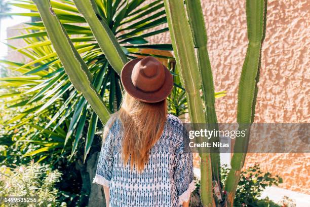 rear view of unrecognizable boho female with hat looking cactus - backup camera stock pictures, royalty-free photos & images