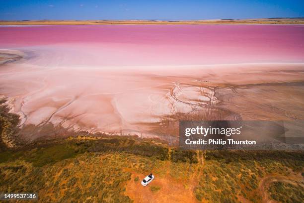 luftaufnahme eines leuchtend rosa salzsees im südaustralischen outback - australian outback landscape stock-fotos und bilder