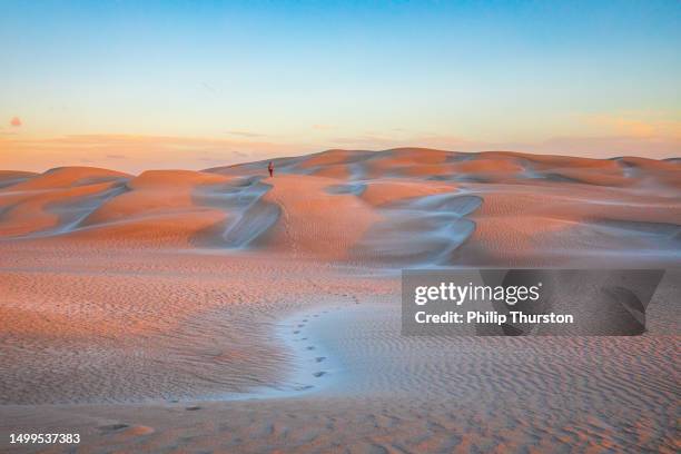 junger mann, der bei sonnenuntergang in eine riesige sandwüstenszene geht - dramatische landschaft stock-fotos und bilder