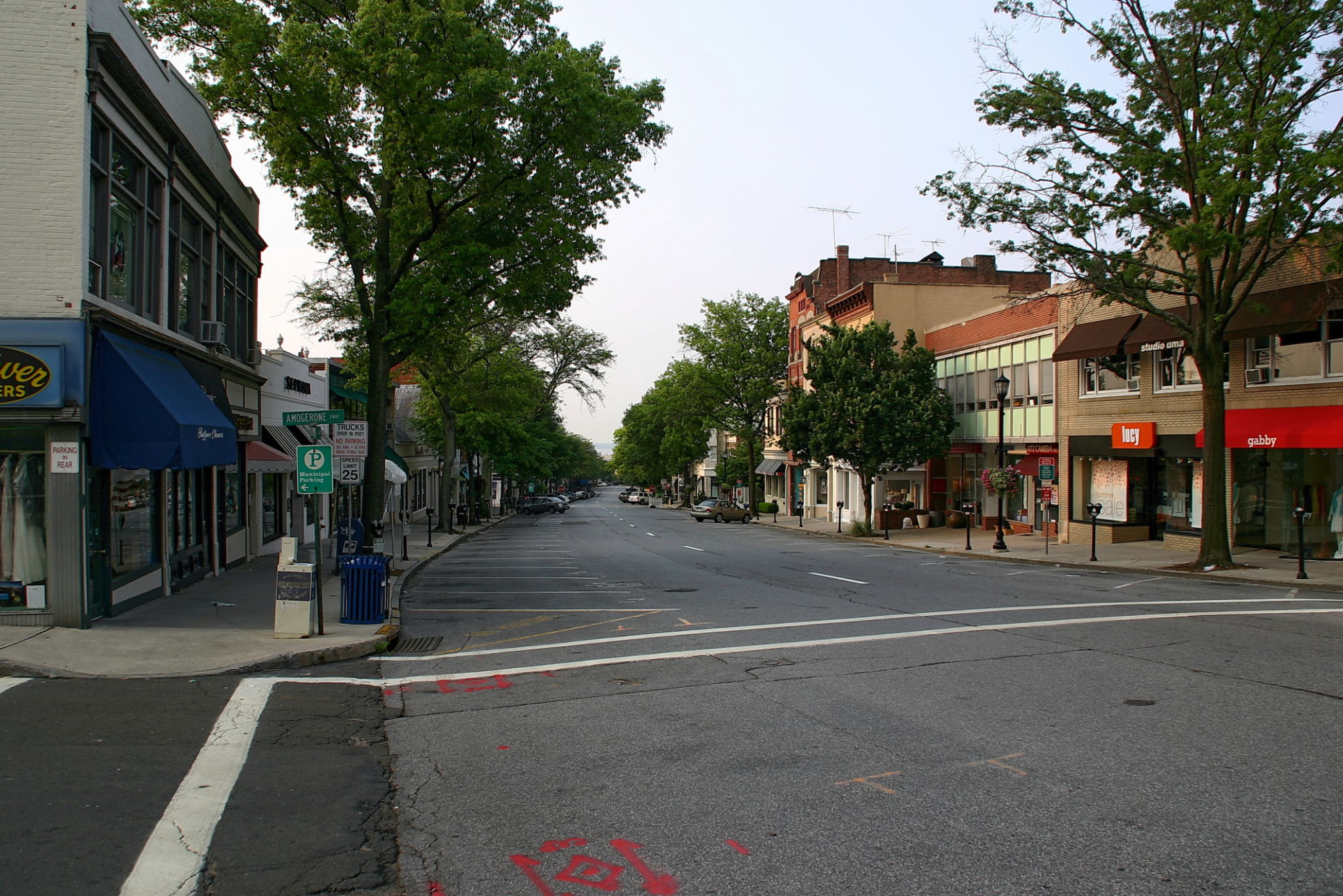 elkins park businesses