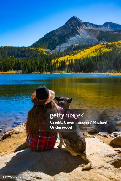 girl and dog hugging at colorado mountain lake in autumn - lost lake stock pictures, royalty-free photos & images