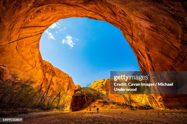 backpacker in coyote such utah - glen canyon stock pictures, royalty-free photos & images