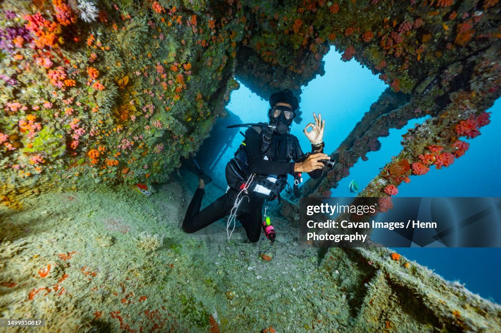 Diver exploring shipwreck in the Maldives