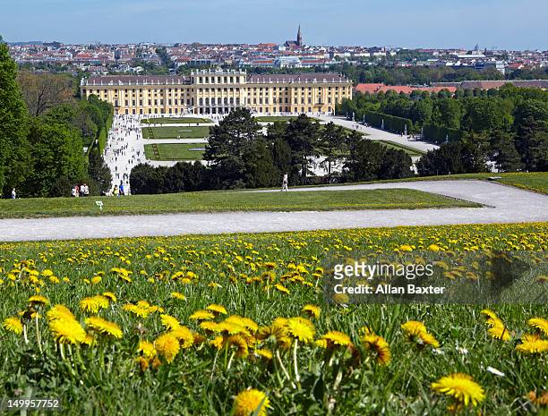 the french garden and schonbrunn palace - schonbrunn palace stock pictures, royalty-free photos & images