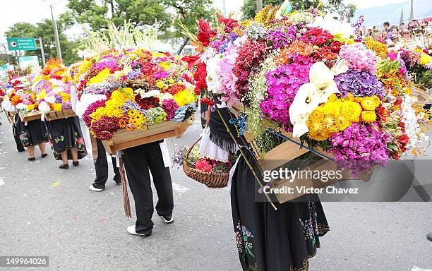 Farmers walk carrying a silleta in the traditional 55th Desfile de Silleteros during the Feria De Flores 2012 at Guayaquil Bridge on August 7, 2012...