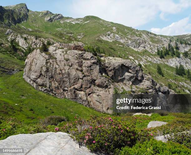soapstone outcrop "il castello", valle del basso - soapstone carving stock pictures, royalty-free photos & images