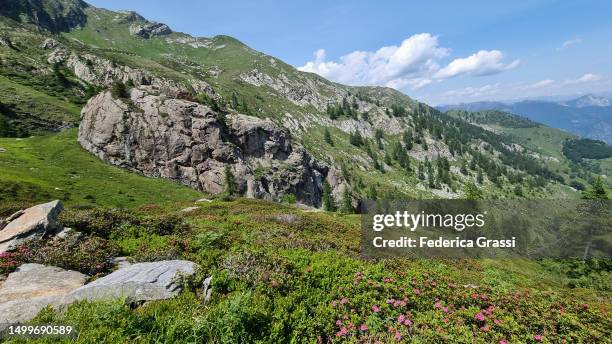 soapstone outcrop "il castello", valle del basso - soapstone carving stock pictures, royalty-free photos & images