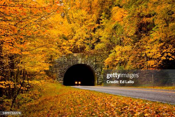 blue ridge parkway autumn leaves surrounding ferrin knob tunnel - région des appalaches photos et images de collection