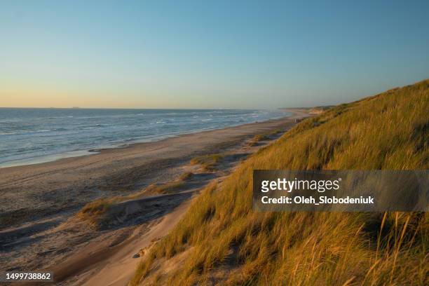 scenic view of beach in denmark - marram grass stock pictures, royalty-free photos & images