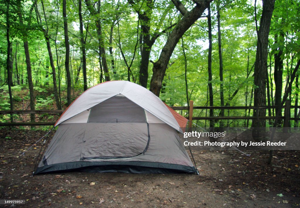 Tent camping in forest