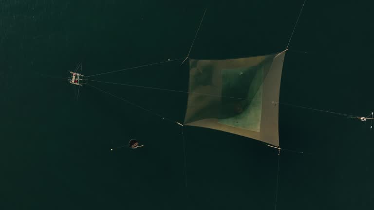 Mini Square Net 152 Fishing With A Square Fishing Net Stock Videos, Footage, & 4K Video ...