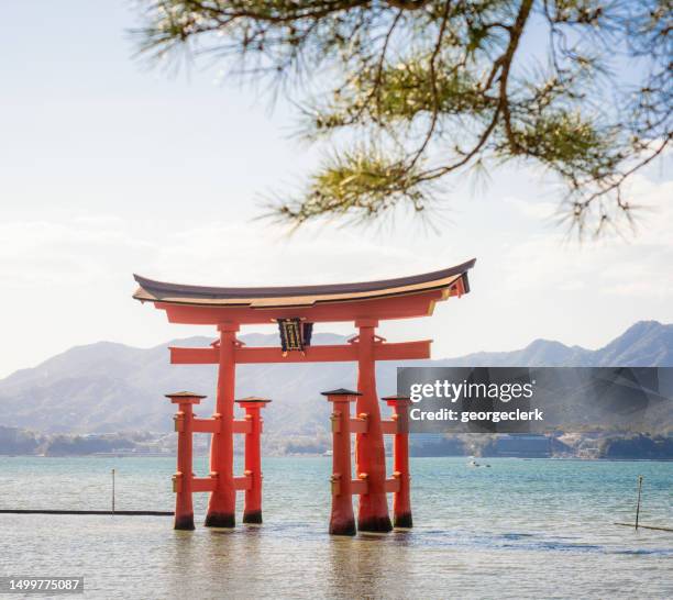 宮島浮遊鳥居 - 厳島神社 ストックフォトと画像