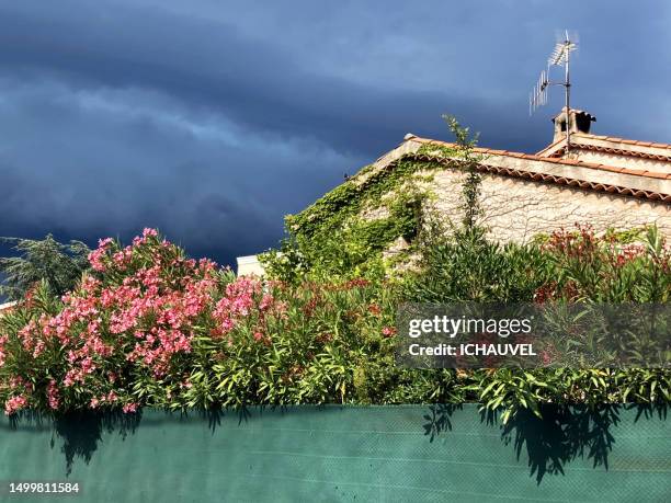 thunderstorm late in the day france - rainwater basin stock pictures, royalty-free photos & images