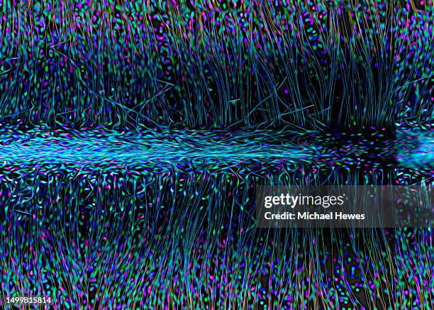 Particle Field 11 Force Field Chemistry Stock Photos, High-Res Pictures, and Images ...