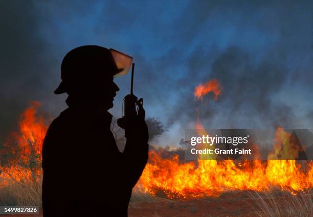 fireman on radio - incendio forestal fotografías e imágenes de stock