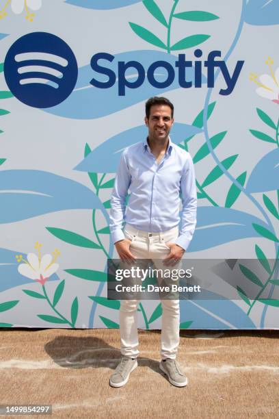 Cesc Fàbregas participates in the Top Hits and Goal-Scoring Kicks: Fans, Football and Media session at Spotify Beach, during Cannes Lions on June 19,...