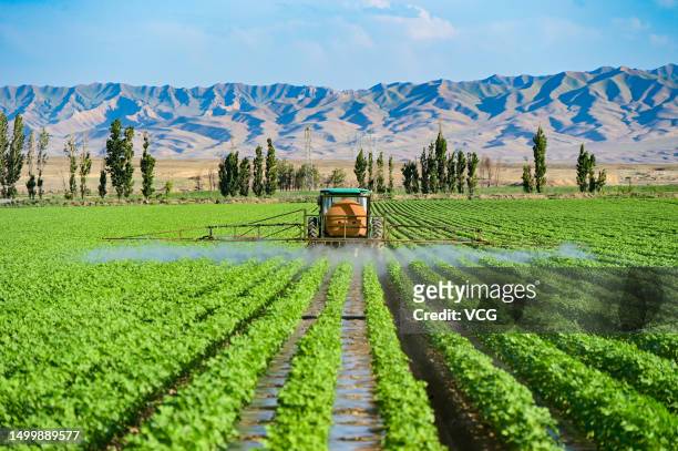 Farmer drives agricultural machine to spray agrichemicals in a cotton field on June 17, 2023 in Hutubi County, Changji Hui Autonomous Prefecture,...