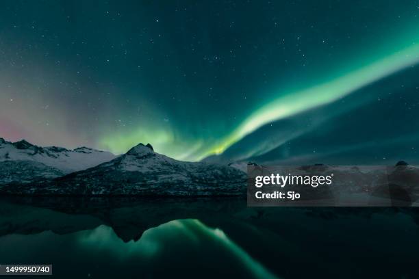 northern lights over the lofoten islands in norway during winter - aurora stockfoto's en -beelden