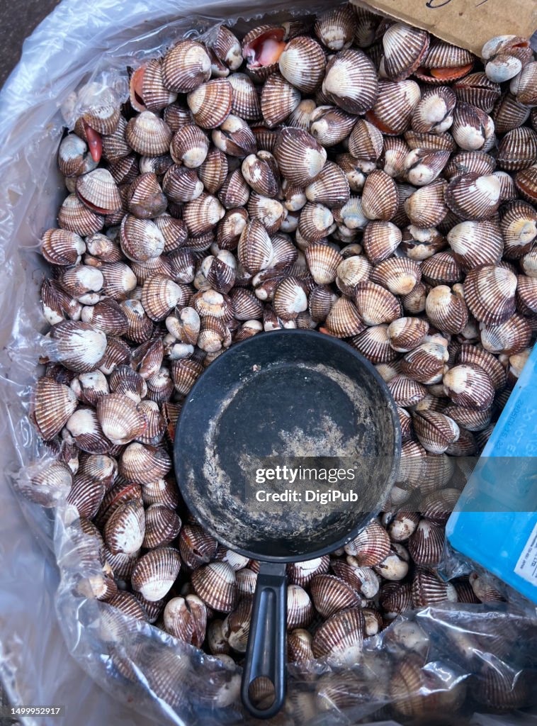 Small blood clams being sold at Vietnamese store in Yokohama