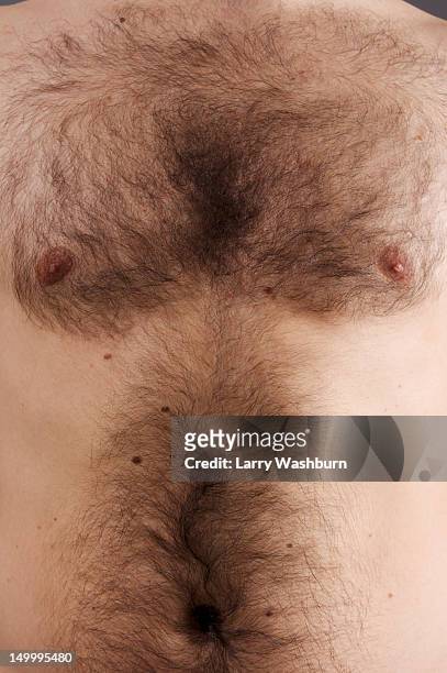 detail of the chest of a man - behaart stock-fotos und bilder